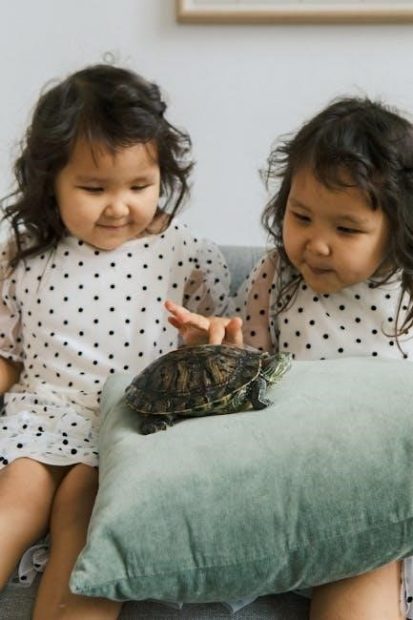the tortoise and the hare pdf